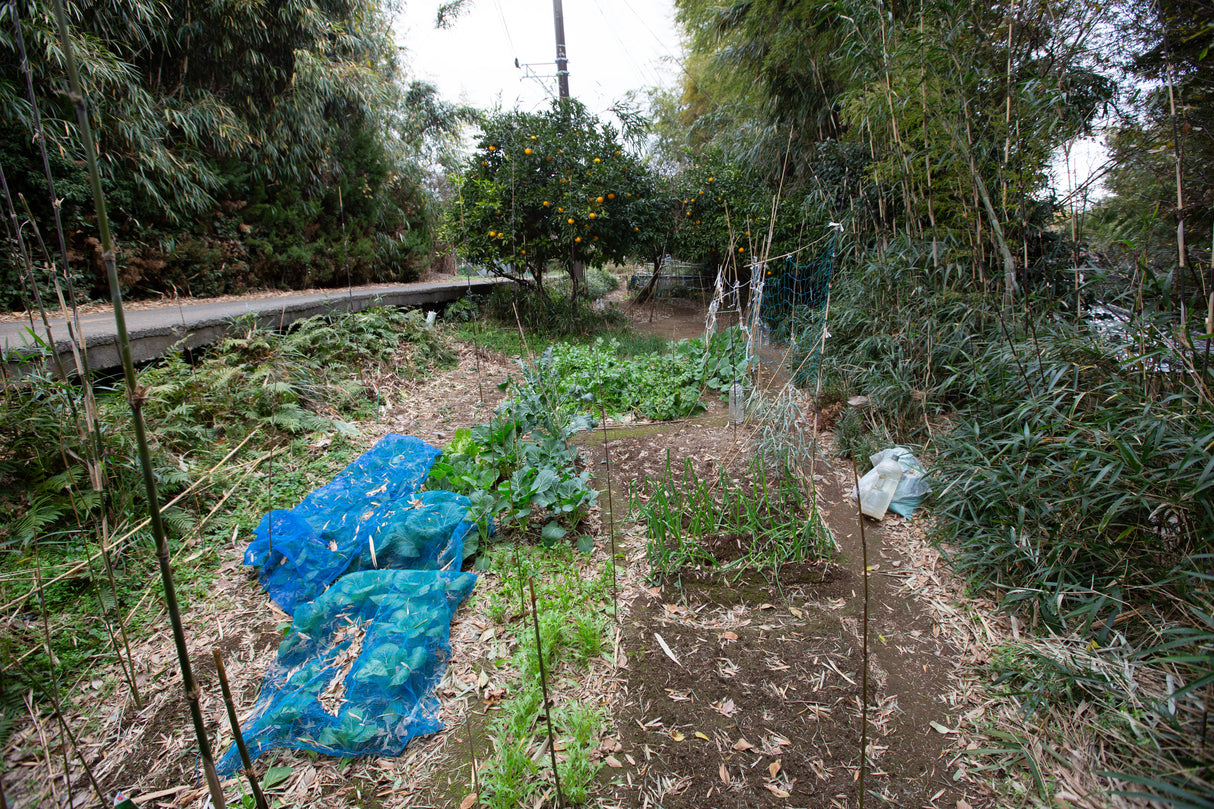 3棟マルチスタジオ &Co