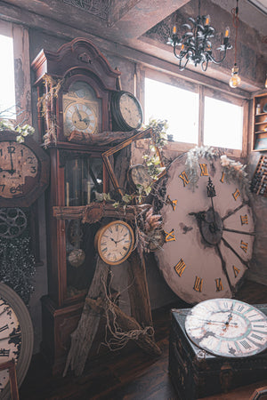 ピータースタジオ