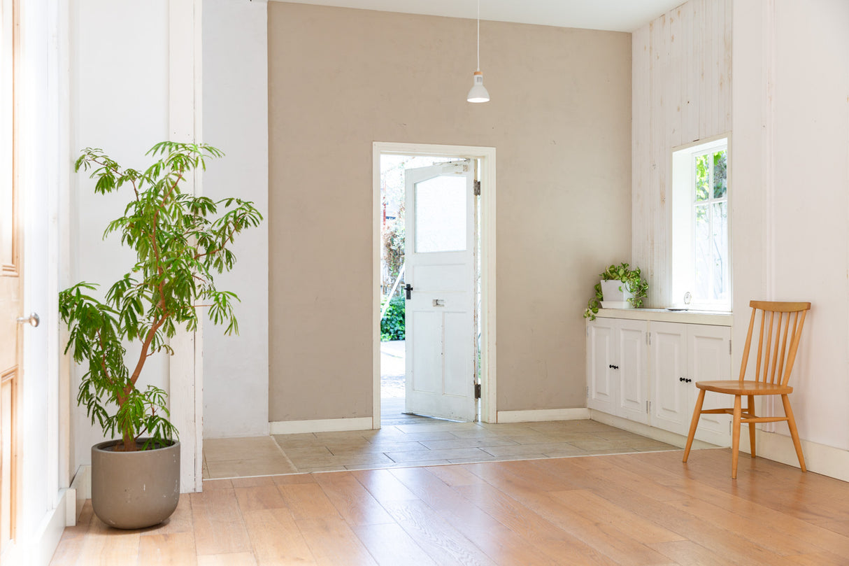 Studio Basil - Basil