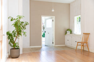 Studio Basil - Basil