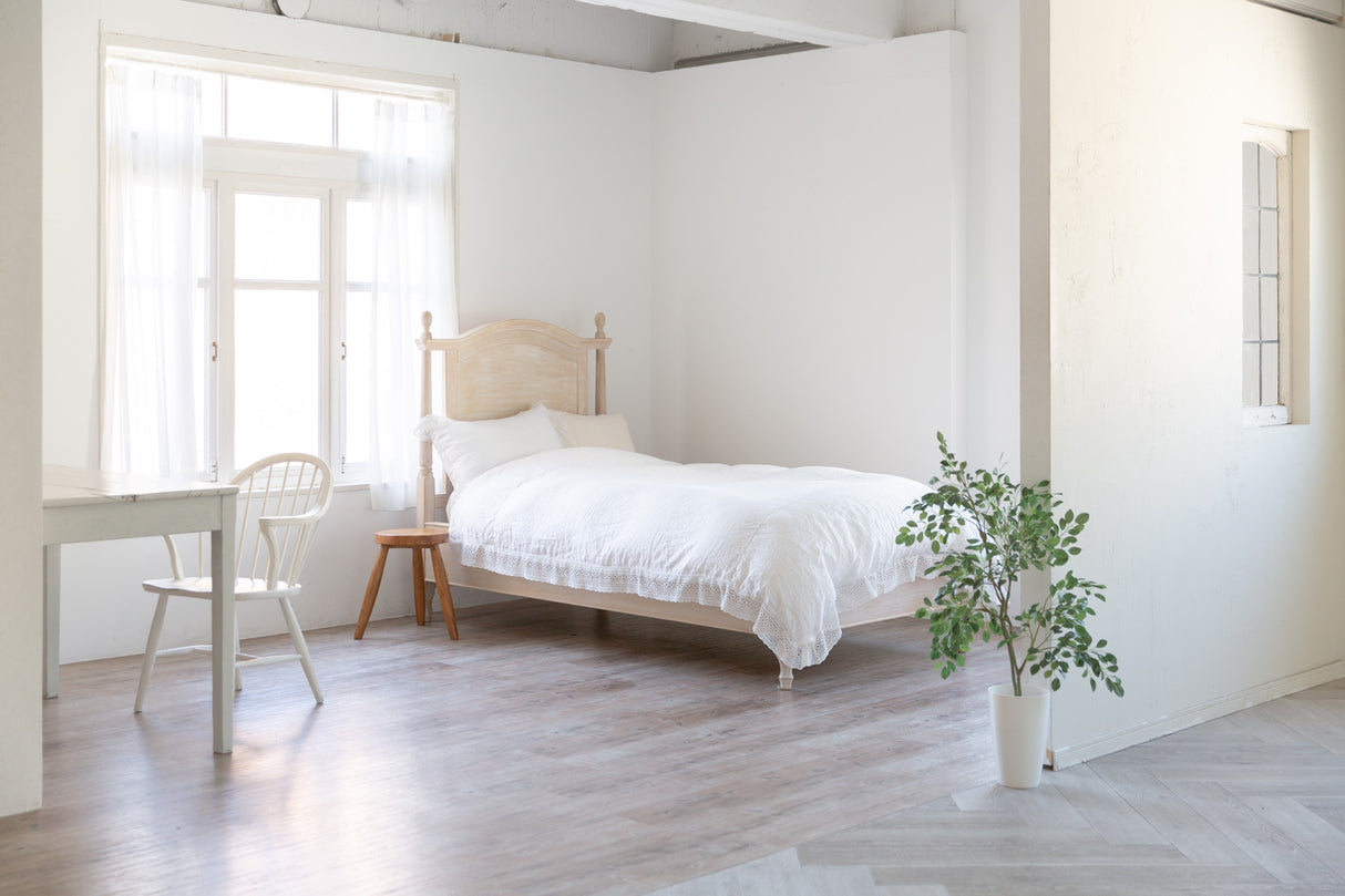 Pastis Sasazuka Astudio