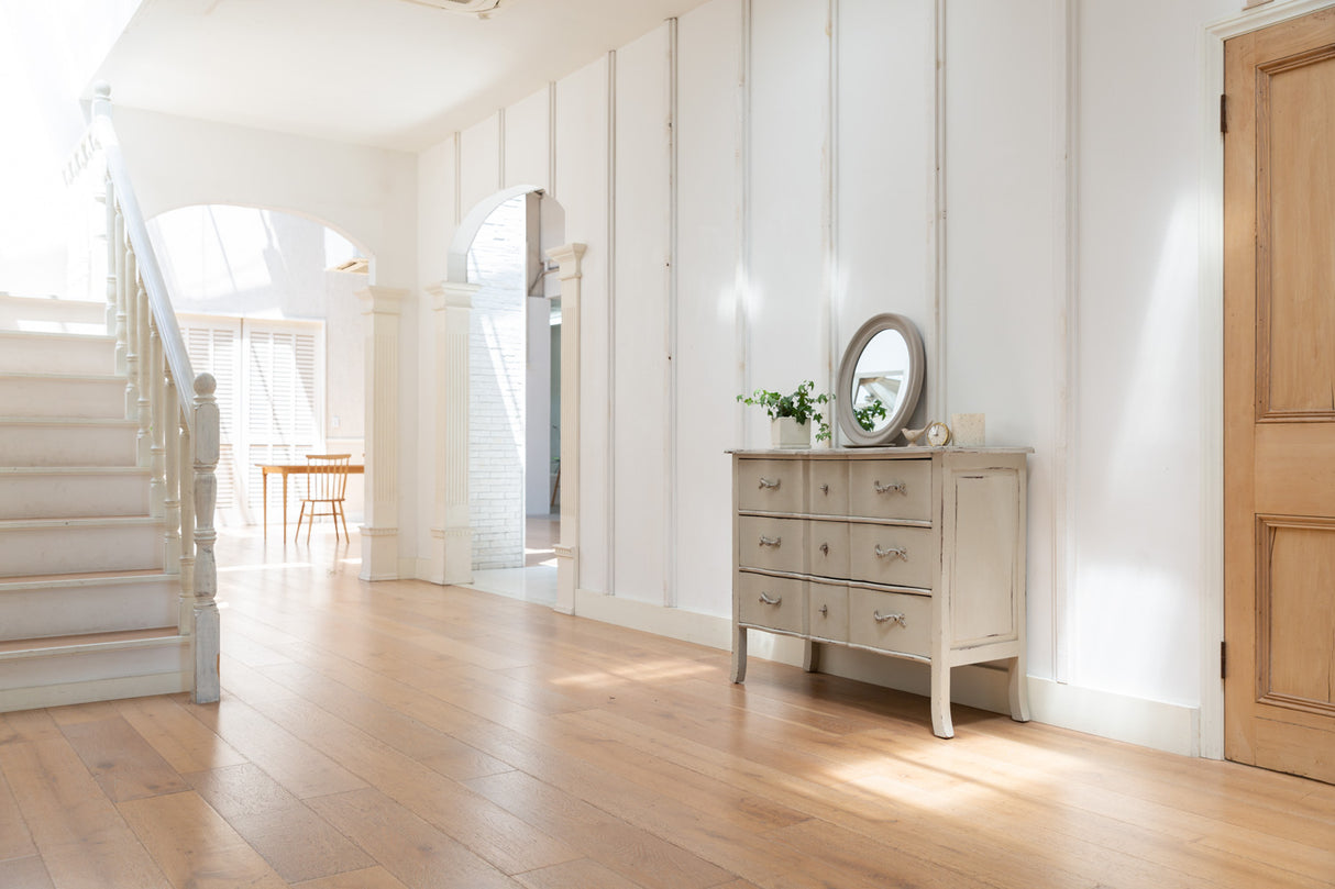 Studio Basil - Basil