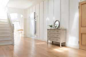 Studio Basil - Basil