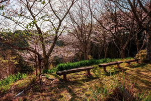 大多喜 山