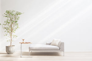 Studio Canal Compass