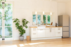 Studio Basil - Basil