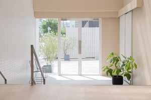 Studio Canal Compass