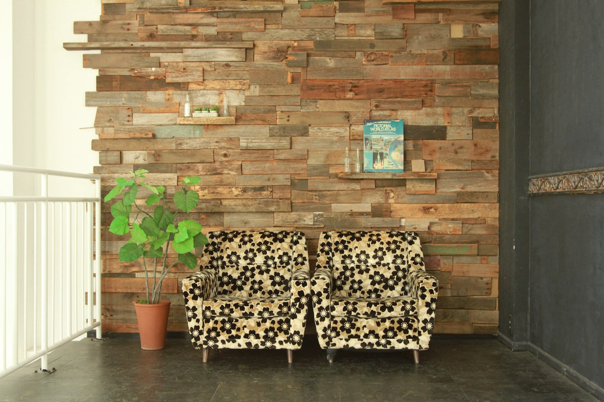 STUDIO SHOWCASE APRICOT