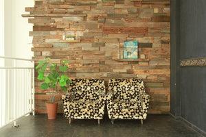 STUDIO SHOWCASE APRICOT