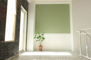 STUDIO SHOWCASE APRICOT