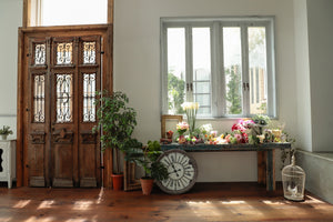 STUDIO SHOWCASE APRICOT