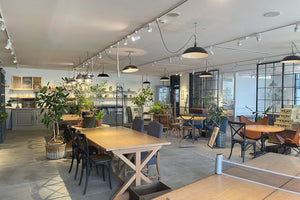 TRUNK BY SHOTO GALLERY/5F FACTORY