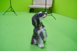 迎賓館CLUBスタジオ