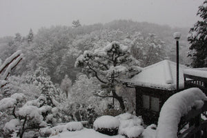 皎月山荘