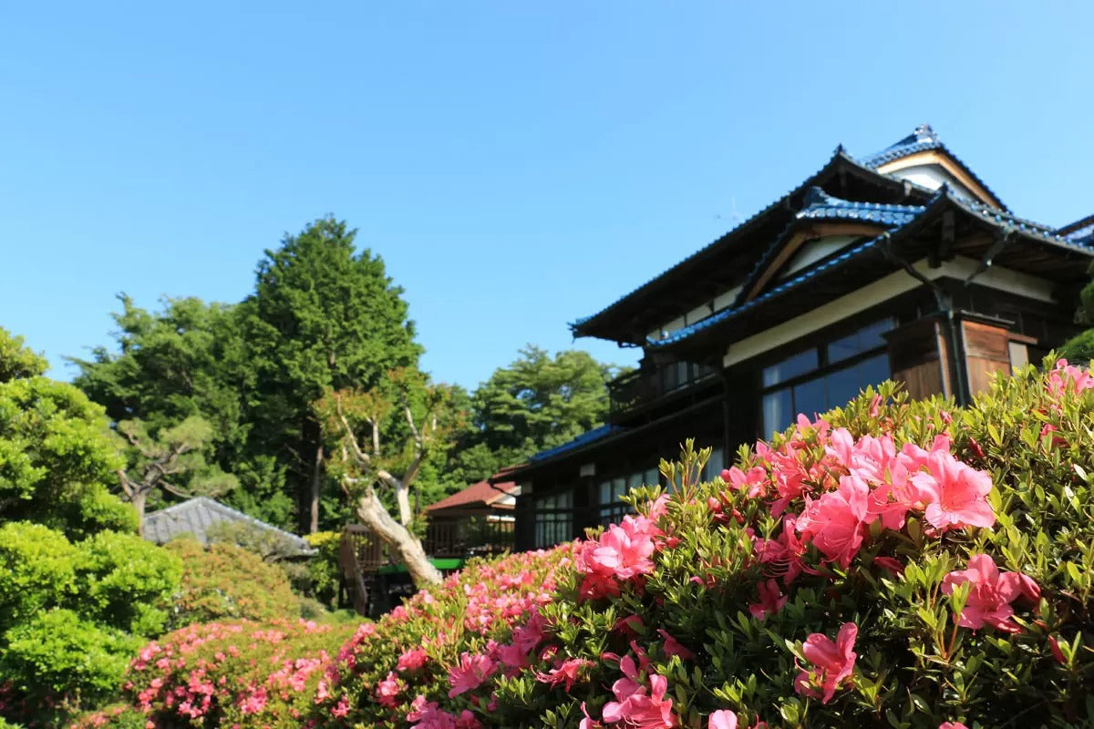 皎月山荘