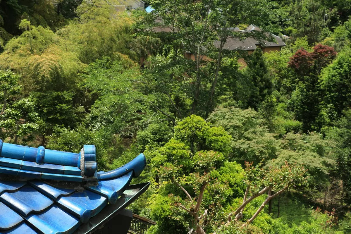 皎月山荘