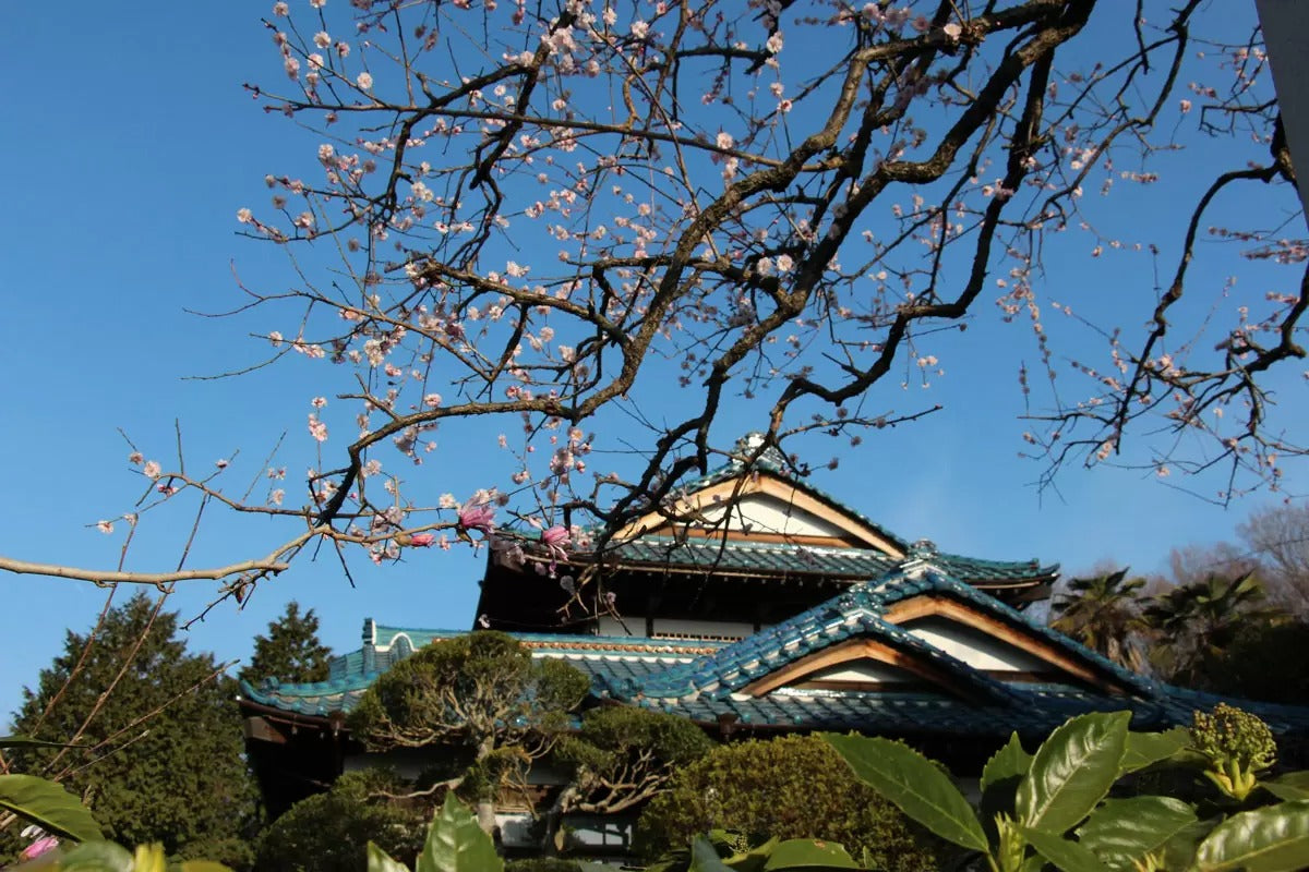 皎月山荘
