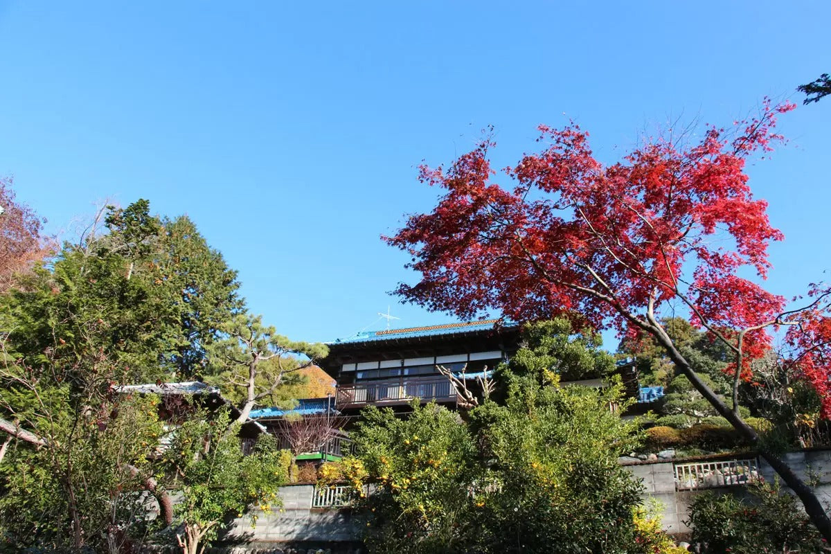 皎月山荘