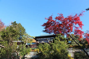 皎月山荘