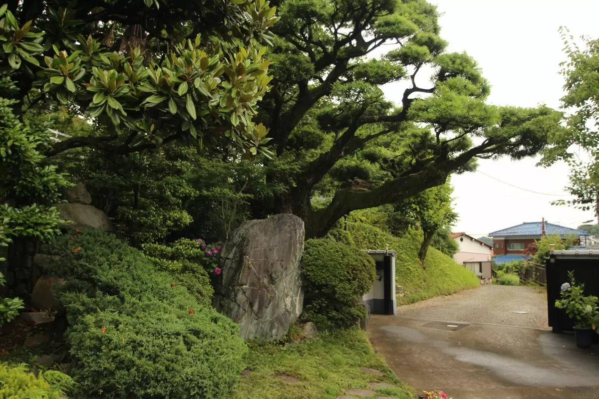 皎月山荘