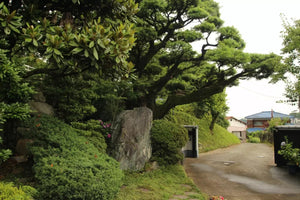 皎月山荘