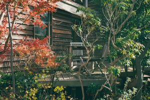 Natural Wood House 逗子