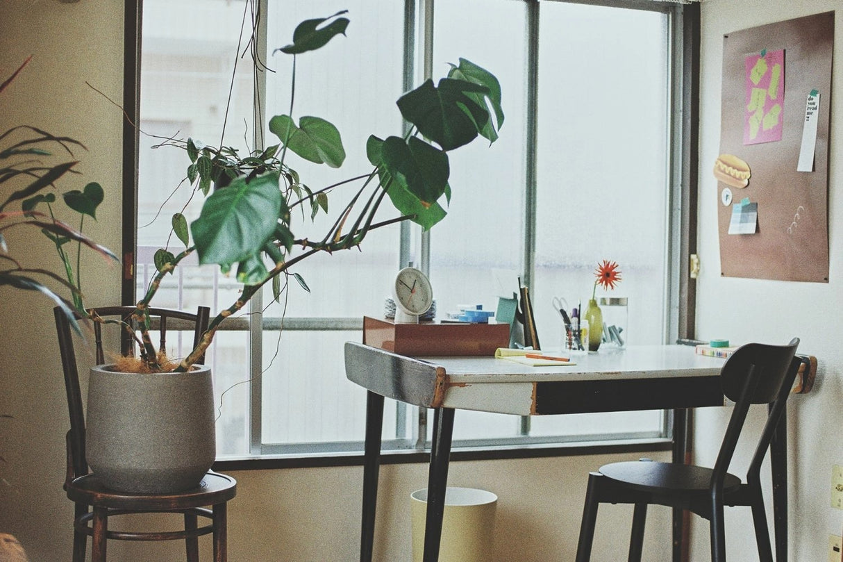 Neuk studio