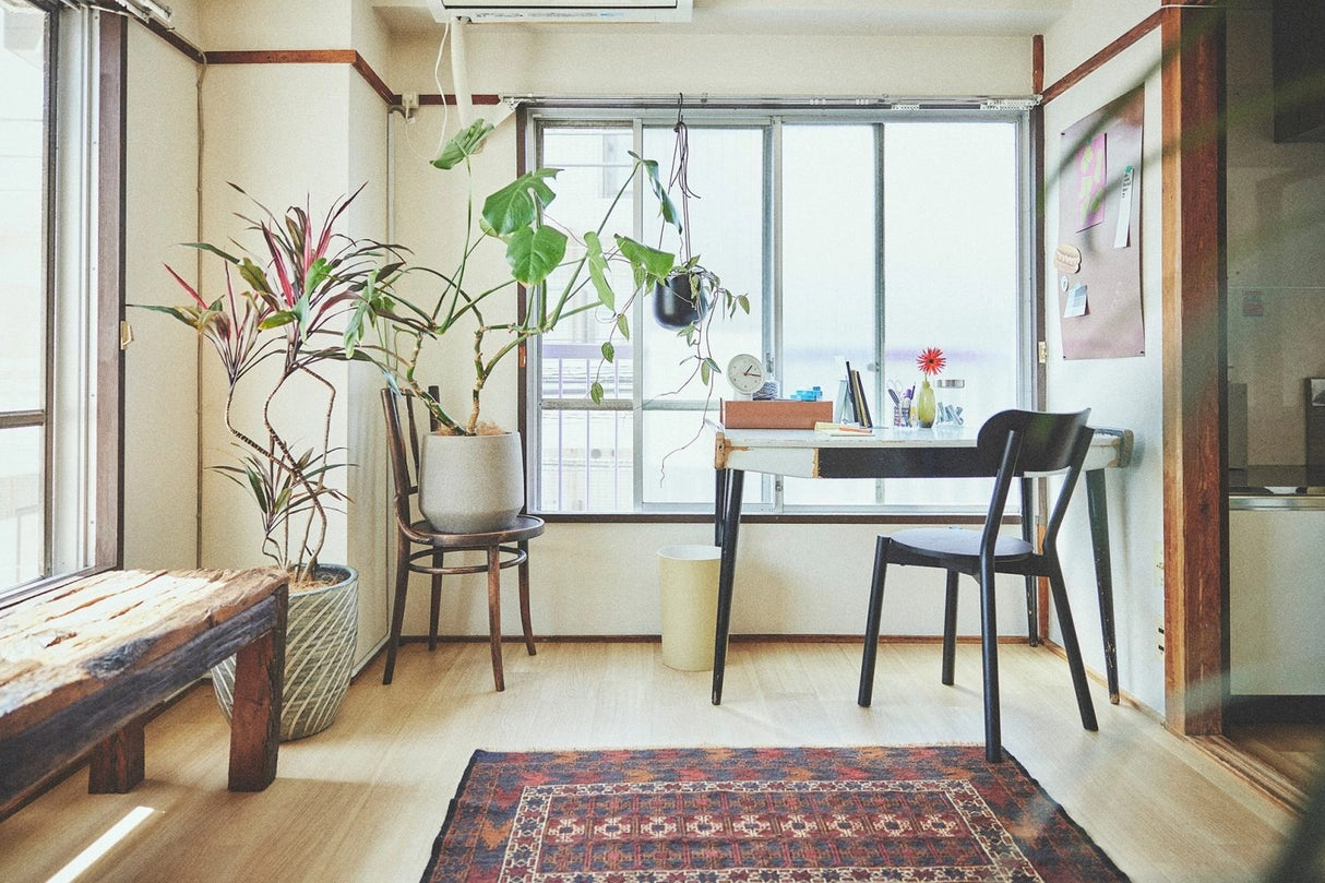 Neuk studio