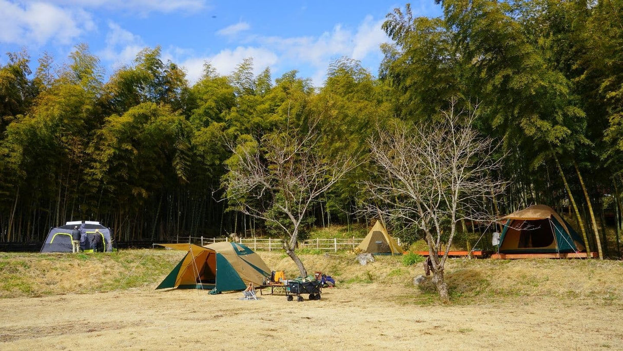 大多喜SABOキャンプ場
