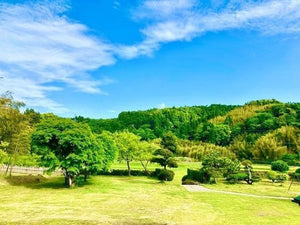 大多喜SABOキャンプ場