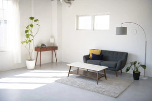 Paris Mansion #301 STUDIO EASE目黒