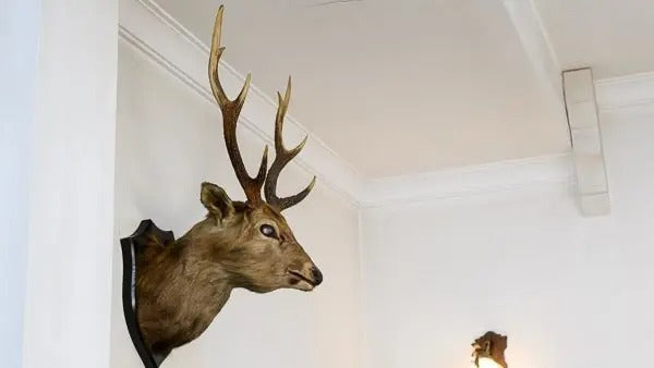 千駄木ヴィンテージスタジオ