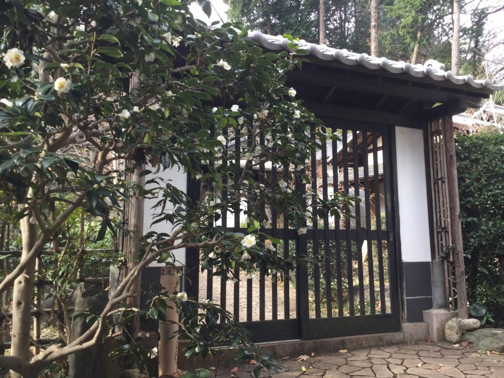 紫栄庵