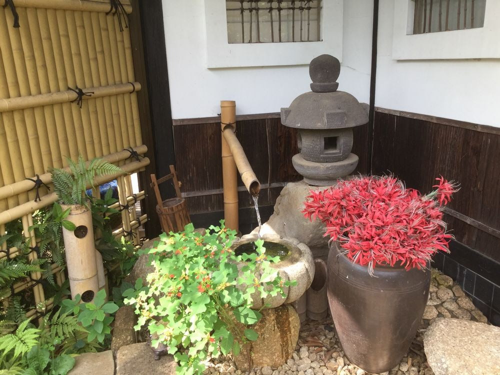 紫栄庵