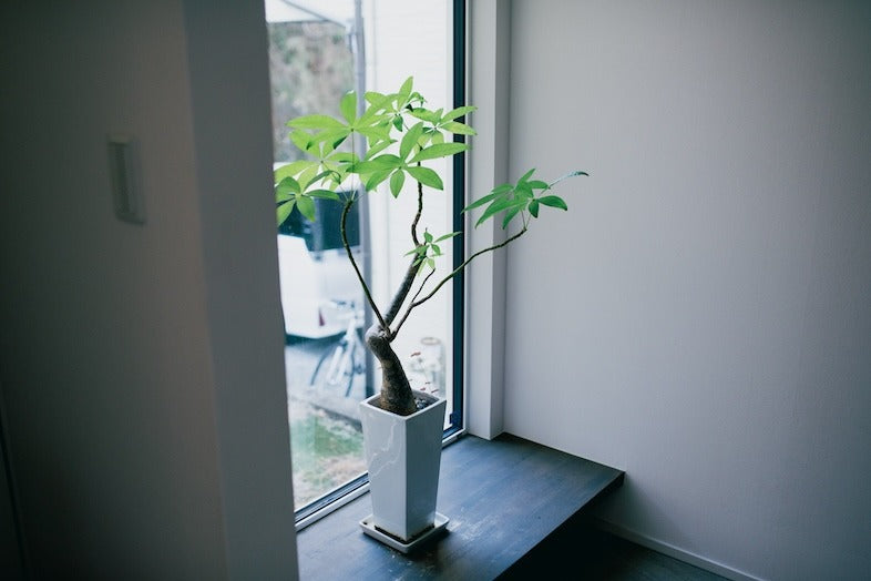 Simple Wood House 横浜磯子