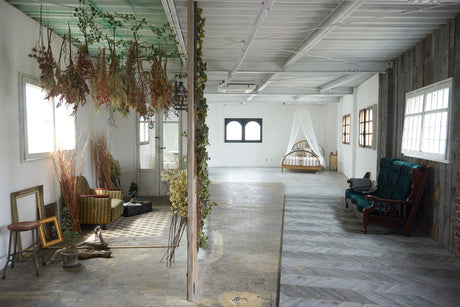 Studio Union