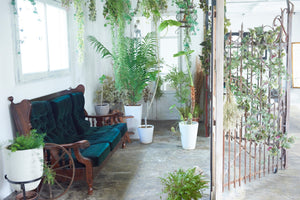 Studio Union