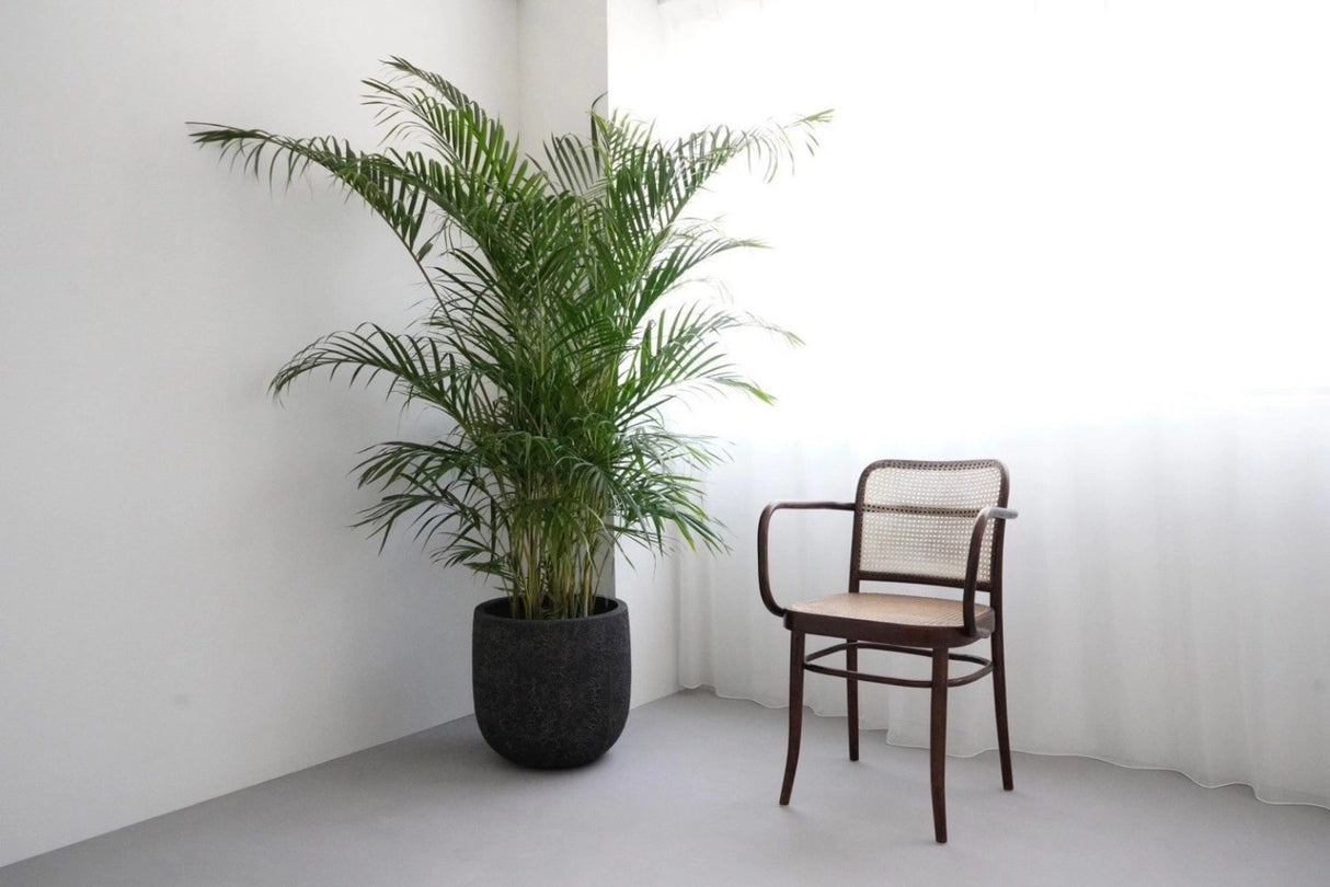 studio AMM higashinihonbashi
