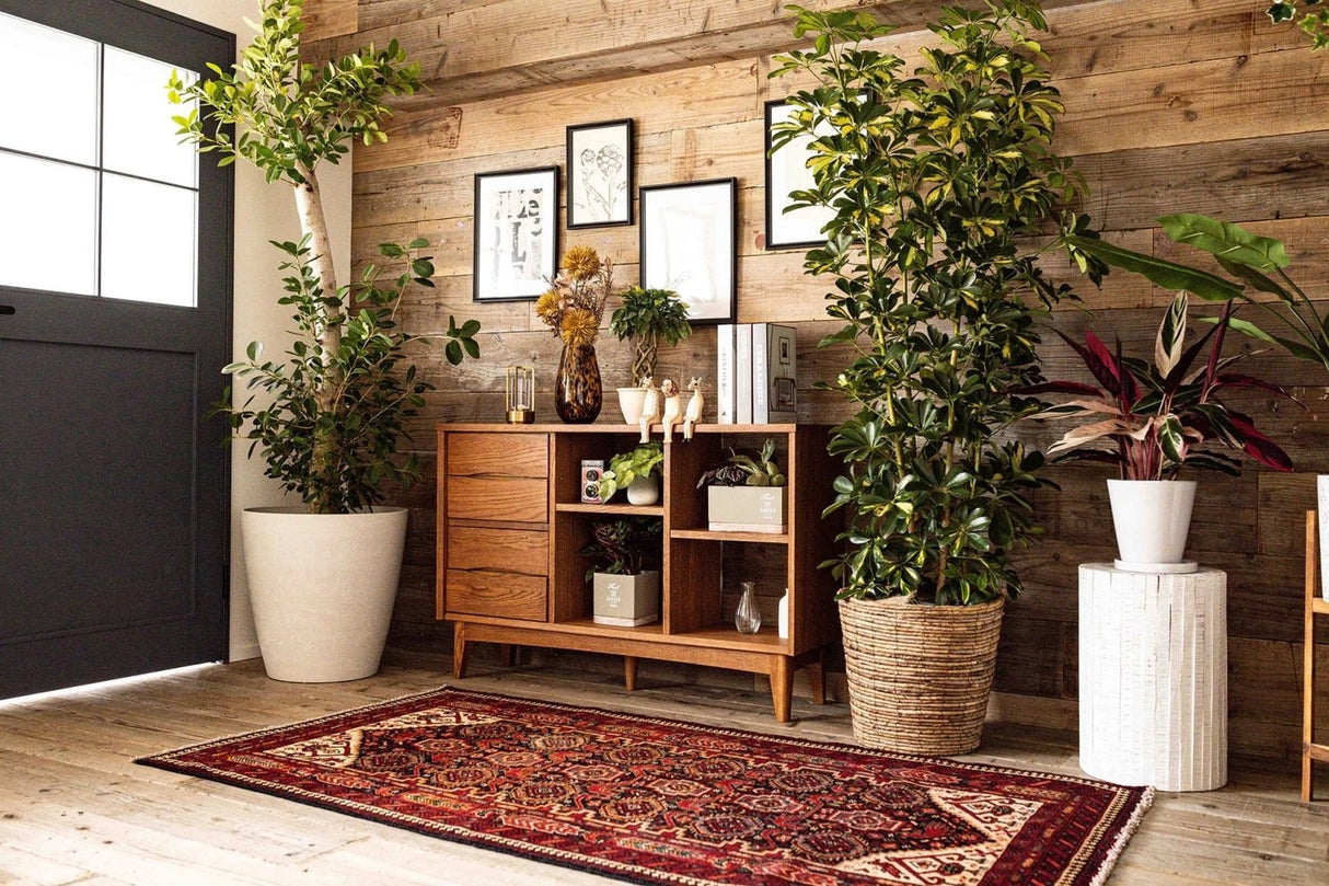 STUDIO FOXTAIL Bst