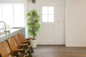 STUDIO iiwi 恵比寿