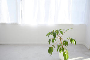 STUDIO iiwi 西麻布