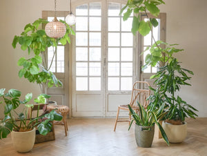 studio Ninie