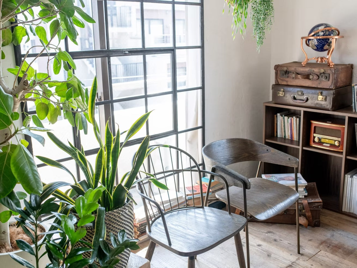 studio Ninie