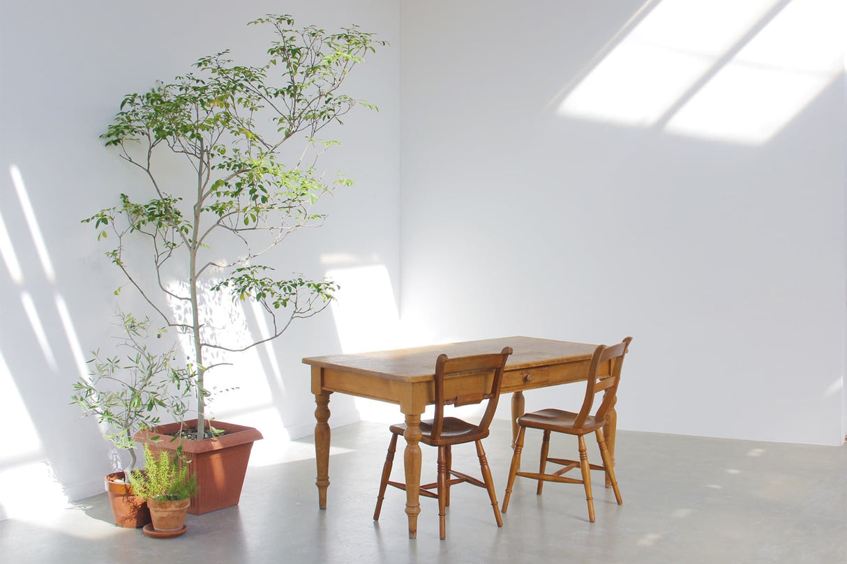 STUDIO STANDARD Tamazutsumi Bst