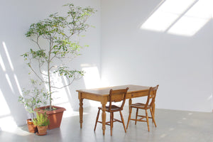 STUDIO STANDARD Tamazutsumi Bst
