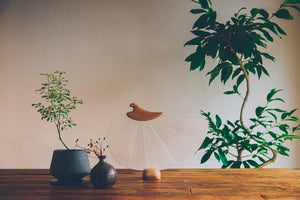 Old Modern House TAMA