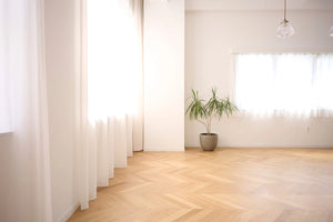 ViBo STUDIO