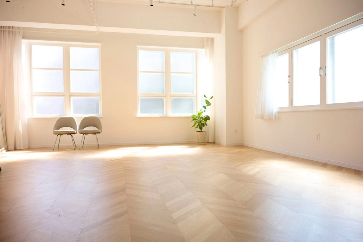 ViBo STUDIO