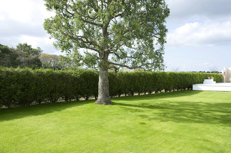 ホワイトヴィレッジスタジオ 2nd