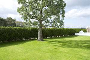 ホワイトヴィレッジスタジオ 2nd